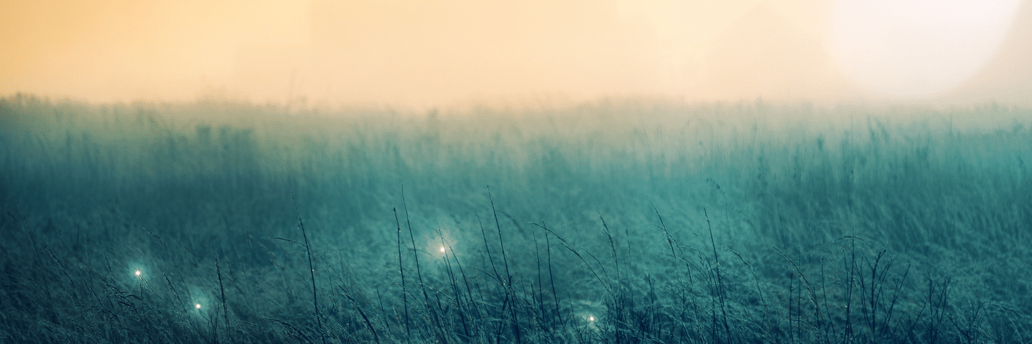 Projekt bez nazwy (24)